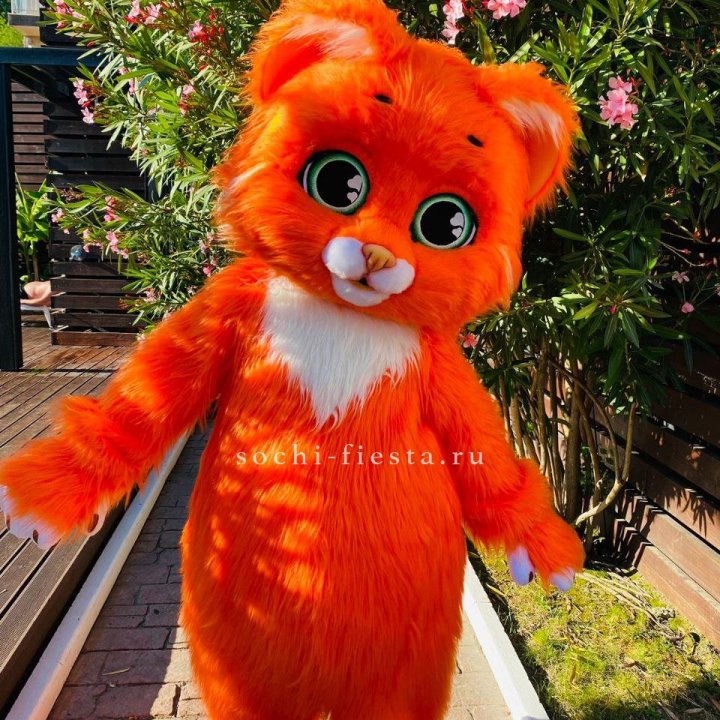 Аниматор Котик в Рязани