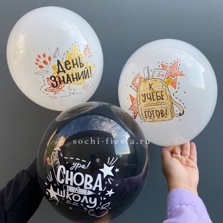 Воздушный шар к 1 сентября в Рязани