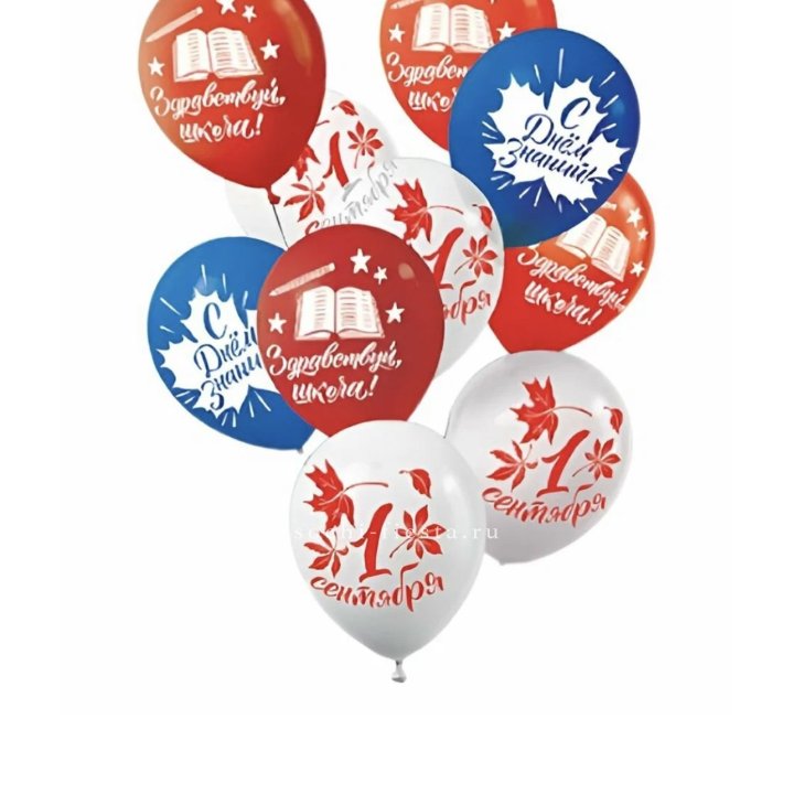 Воздушный шар на день знаний в Рязани