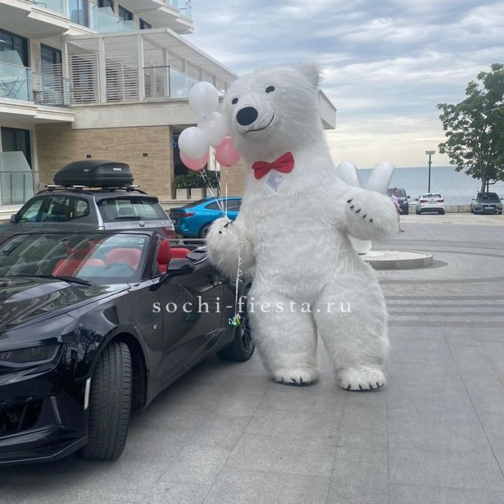 Аниматор Белый Медведь в Рязани