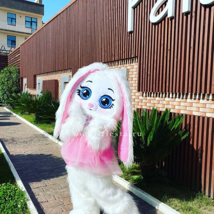 Аниматор Зайка в Рязани