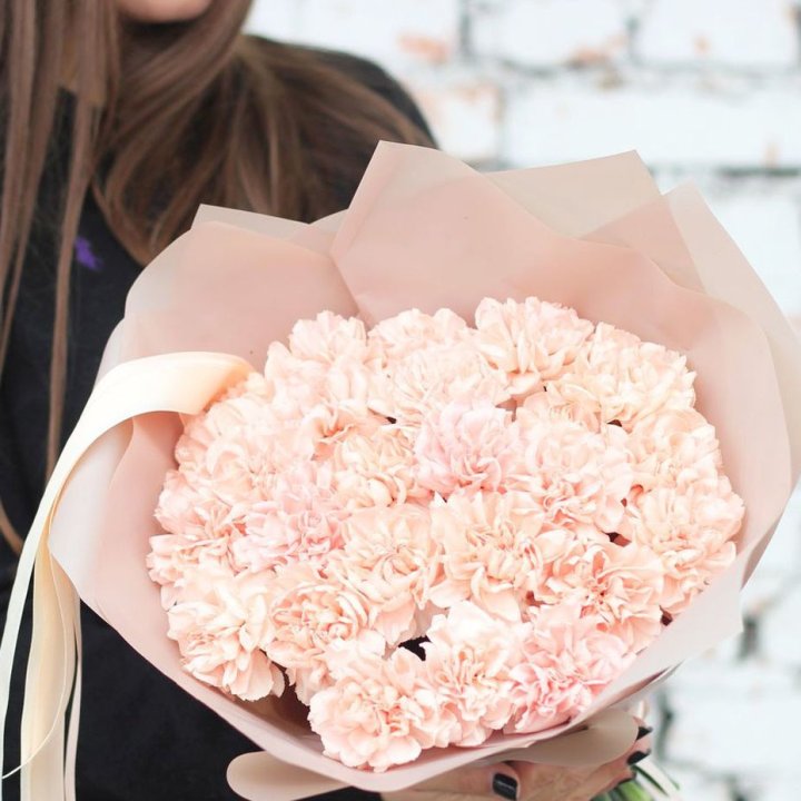 Диантусы №2 в Рязани