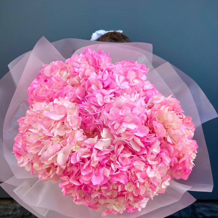 9 ярко розовых гортензий в Рязани