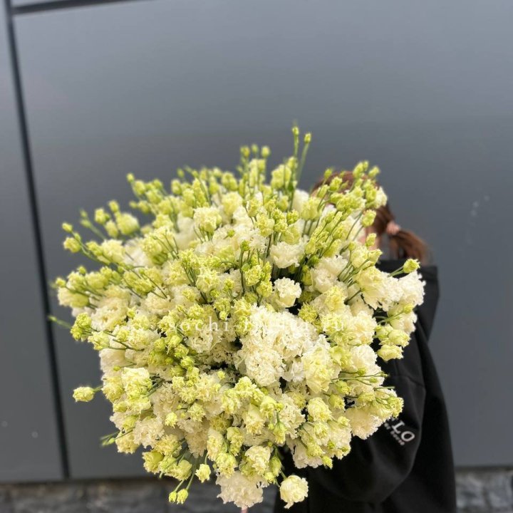 51 белая эустома в Рязани