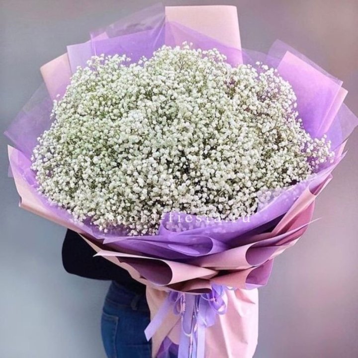 Облако белых гипсофил в Рязани