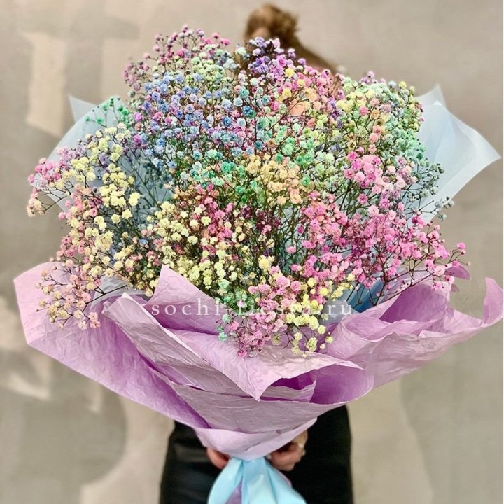 Радужные гипсофилы №2 в Рязани