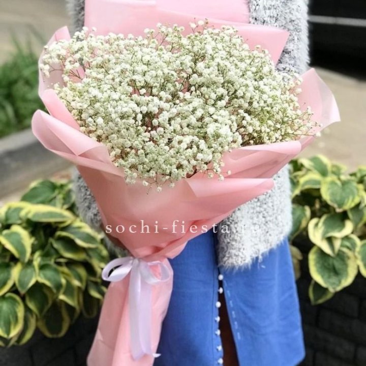 Белоснежные гипсофилы в Рязани