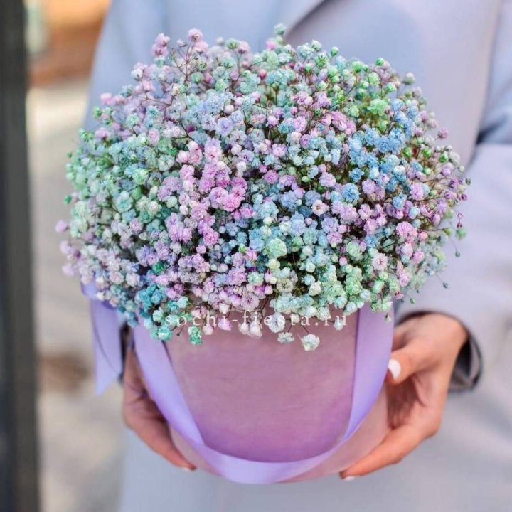 Гипсофилы в шляпной коробке "Кандилайт" в Рязани