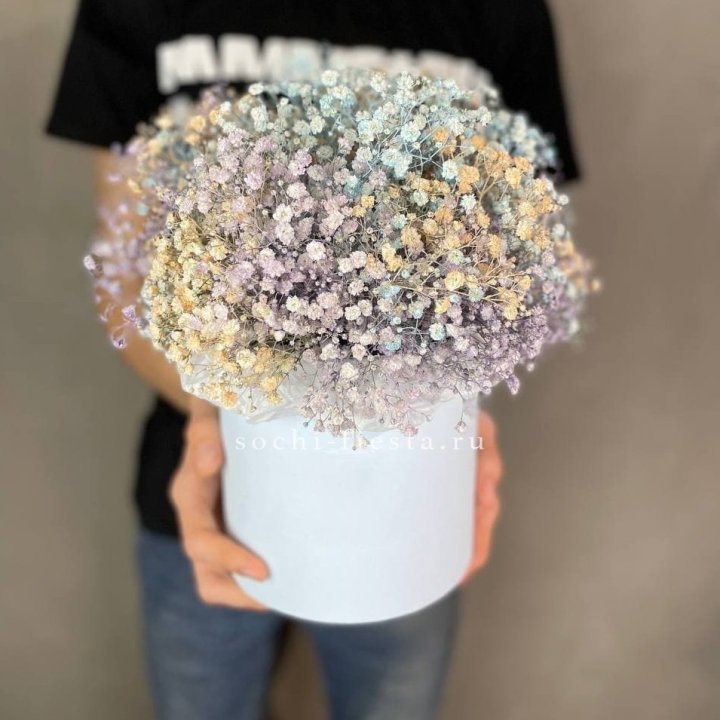 9 Радужных гипсофил в шляпной коробке в Рязани