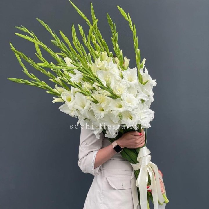 19 белых гладиолусов под ленту в Рязани