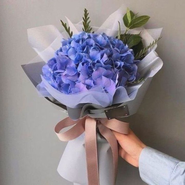 Гортензия голубая в Рязани