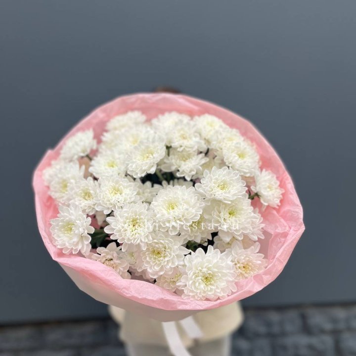  5 хризантем  в Рязани