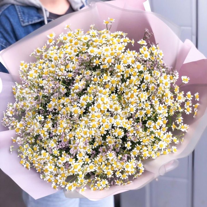 Букет ромашек №1 в Рязани