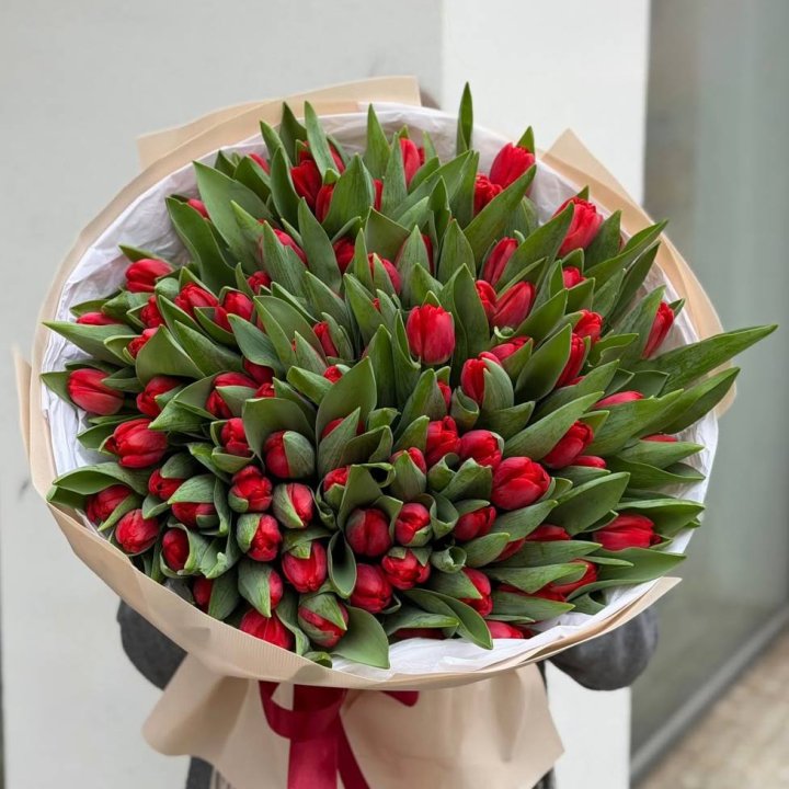 101 красный тюльпан в Рязани