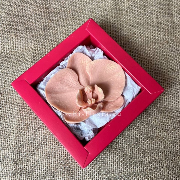 Бельгийский шоколад Орхидея в Рязани