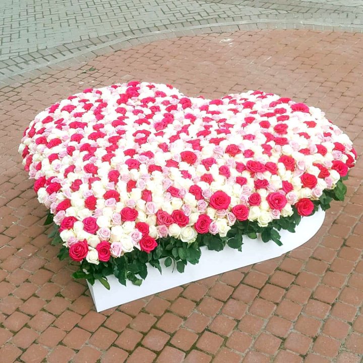 555 роза  в Рязани