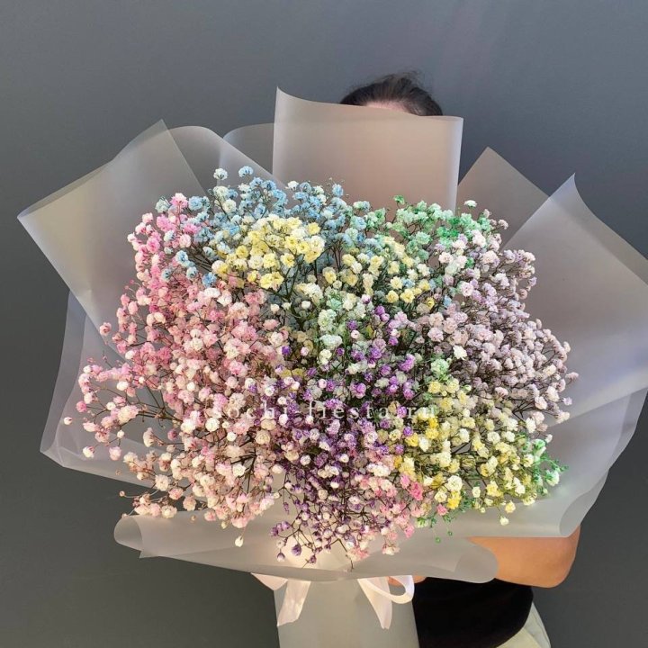 Радужные гипсофилы  в Рязани