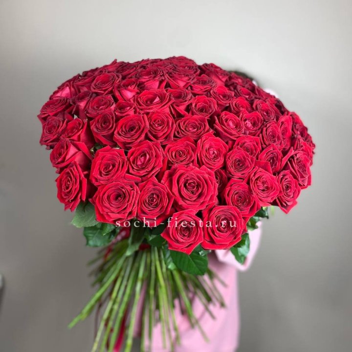 101  голландская роза  в Рязани