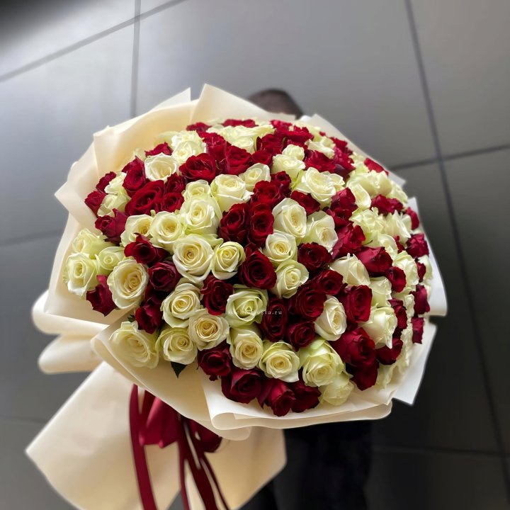 101 высокая импортная роза  в Рязани