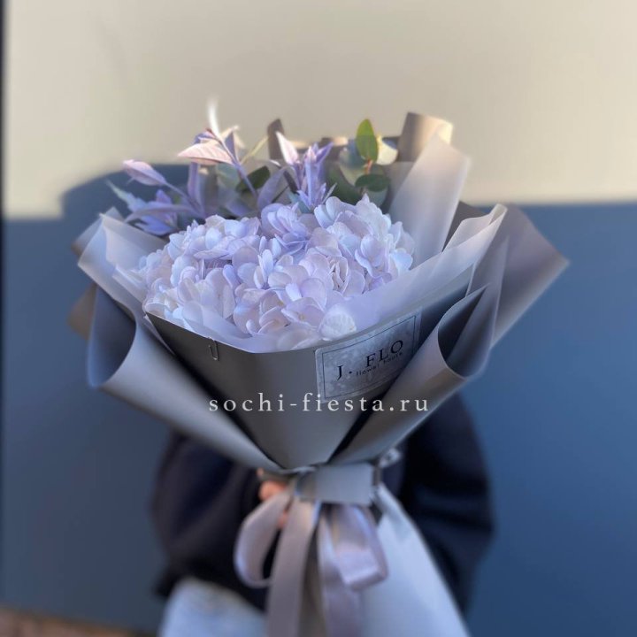 Гортензия "Виолета" в Рязани