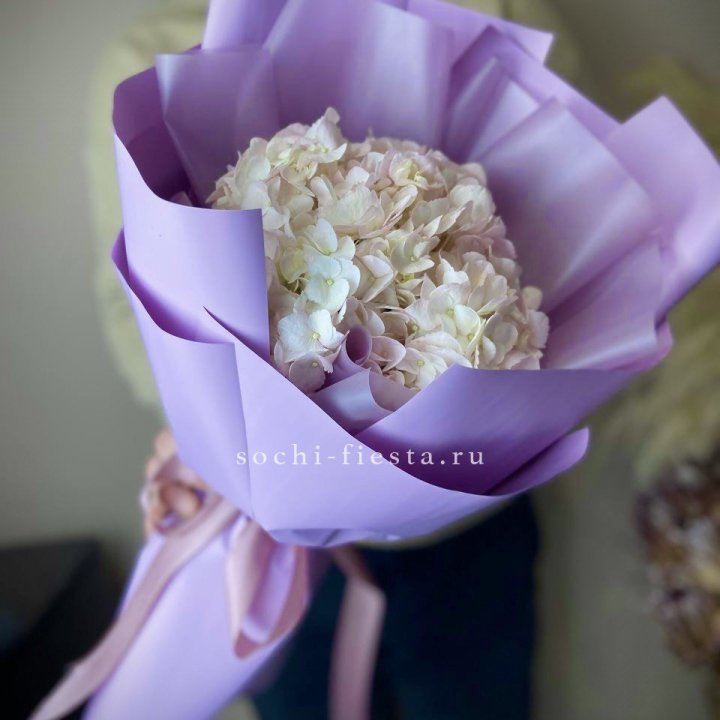 Гортензия розовая в Рязани