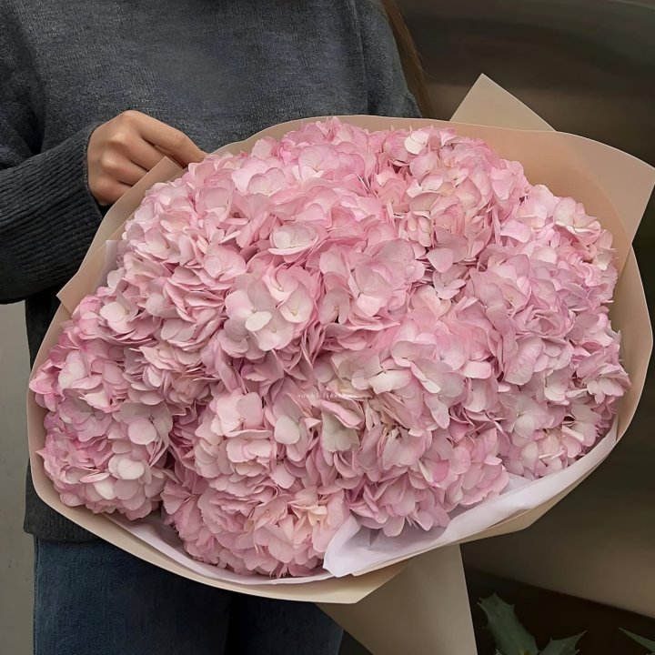 Гортензия  "РОЗЕ" в Рязани