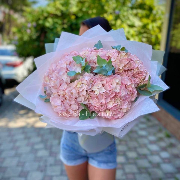 5 розовых гортензий  в Рязани