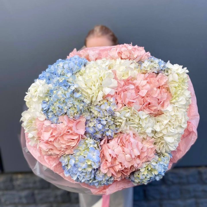19 гортензий микс в Рязани