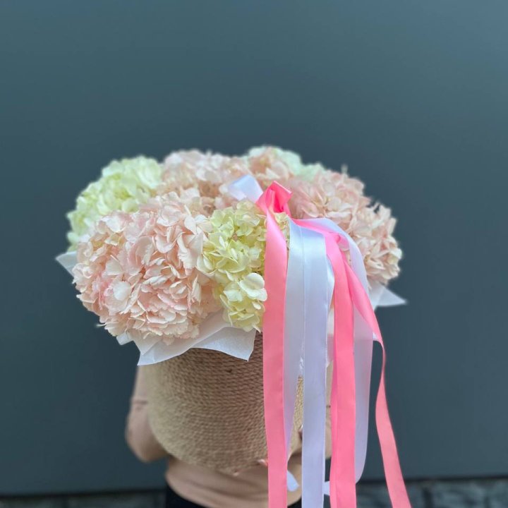 7 гортензий в кашпо в Рязани