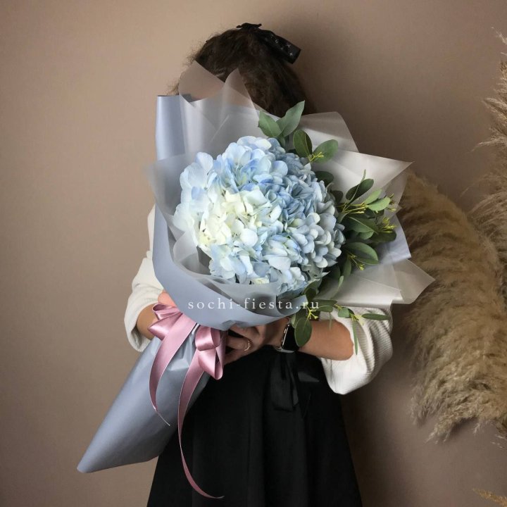 Гортензия Уно в Рязани