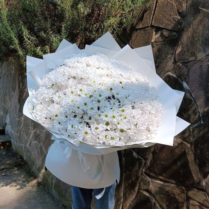 Облако хризантем №2 в Рязани