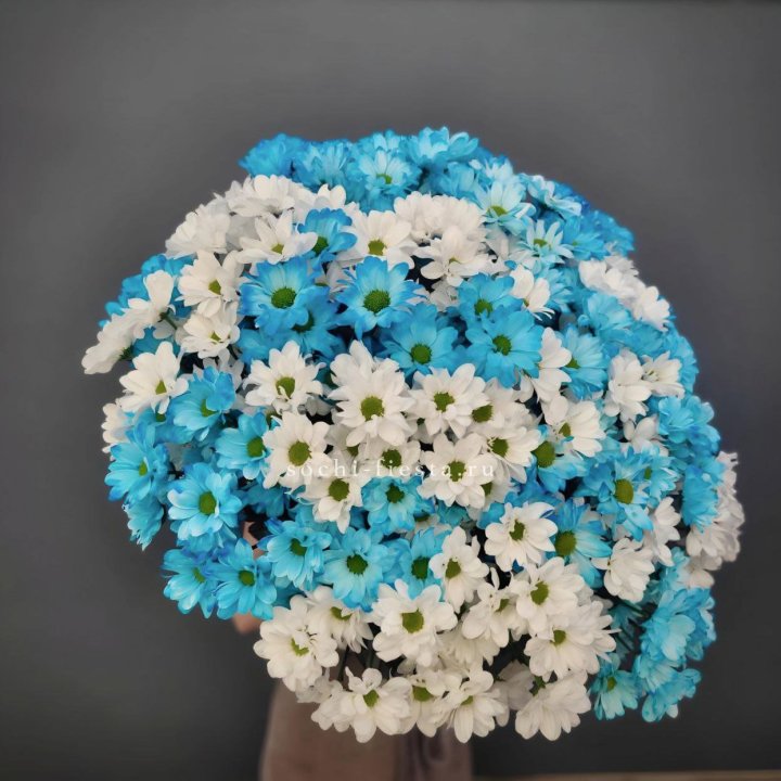  Букет хризантем микс в Рязани