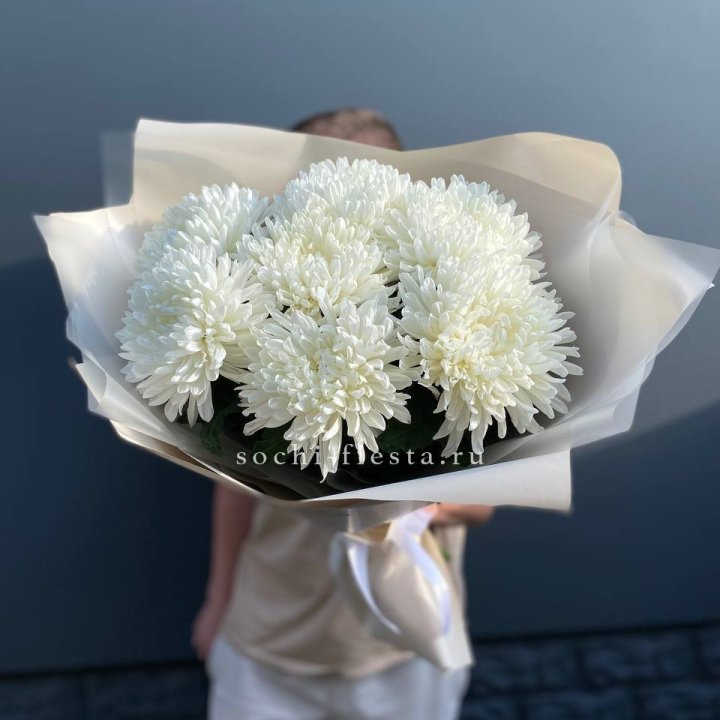 Профитроли в Рязани