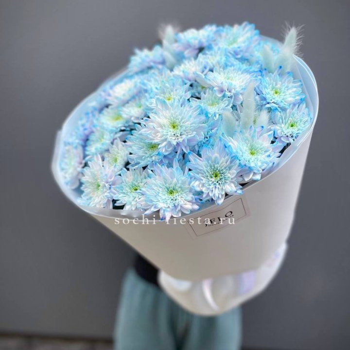  Букет нежно-голубых хризантем  в Рязани