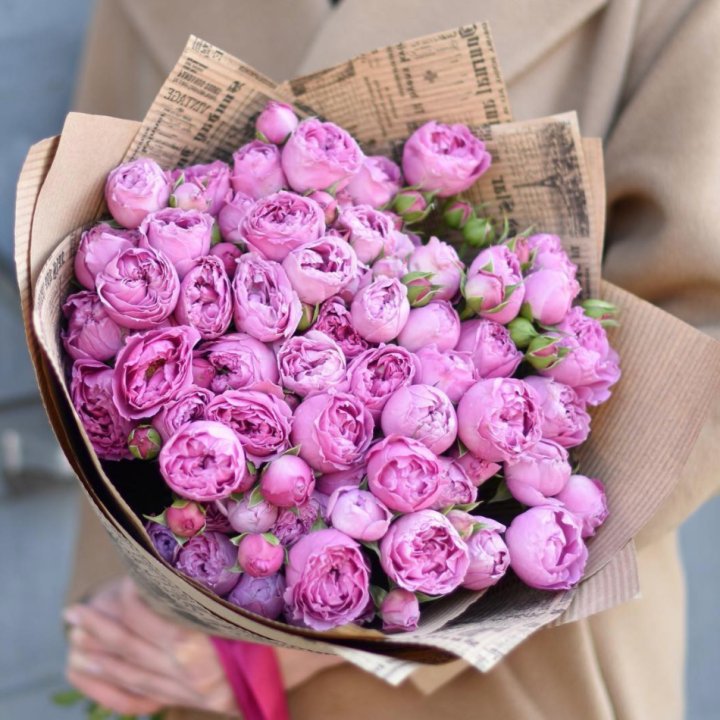 Роза Мисти Баблс в Рязани