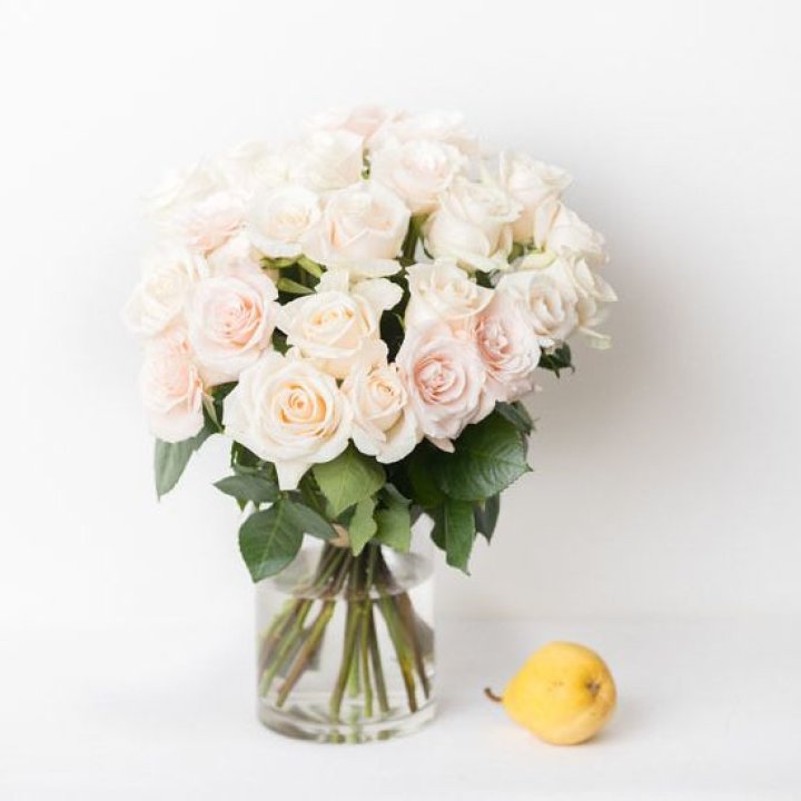 25 кремовых роз в Рязани