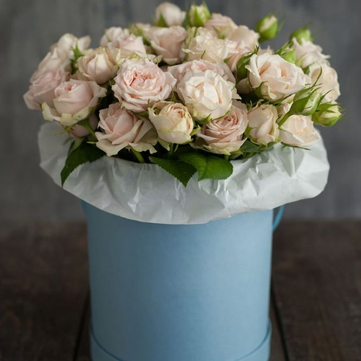 Бокс с бомбастиком в Рязани