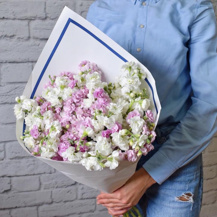 Маттиола в Рязани