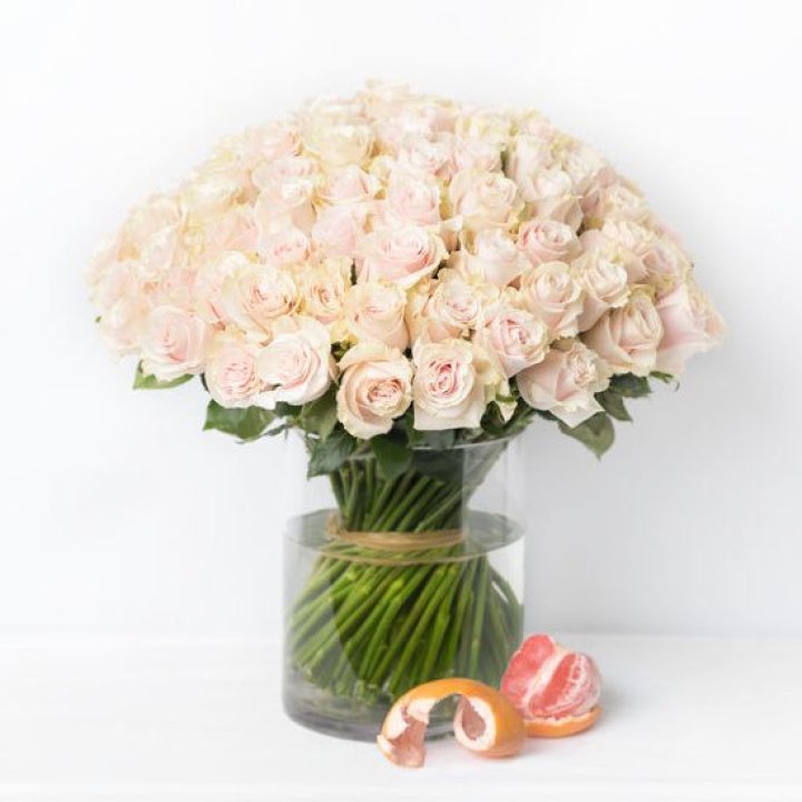 101 кремовая роза в Рязани