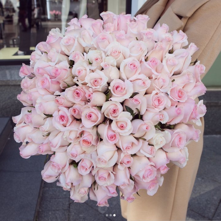 Розы "Пинк бум" в Рязани