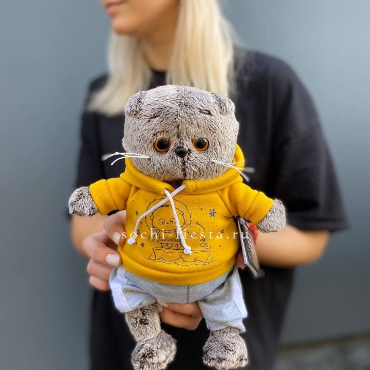 Кот Басик в худи в Рязани