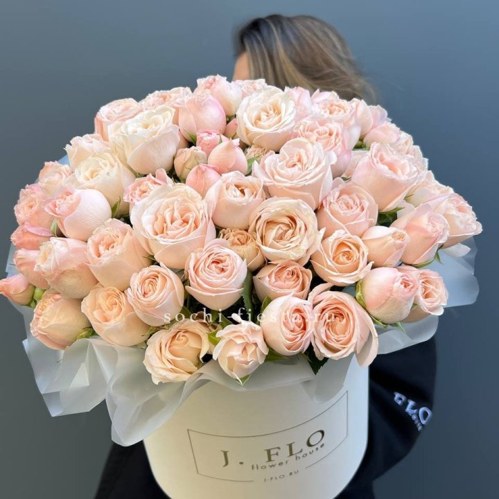 Бомбастик бокс Премьер в Рязани