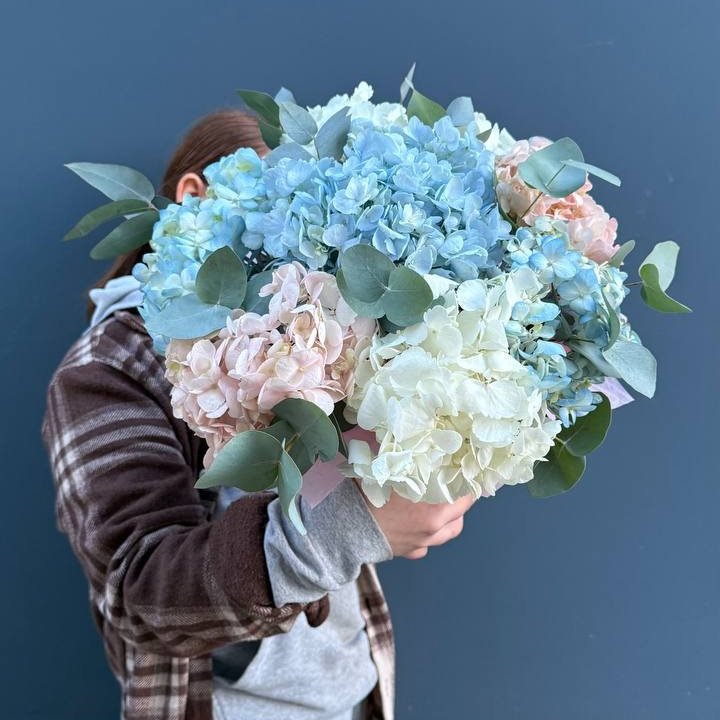 Гортензии в коробочке в Рязани