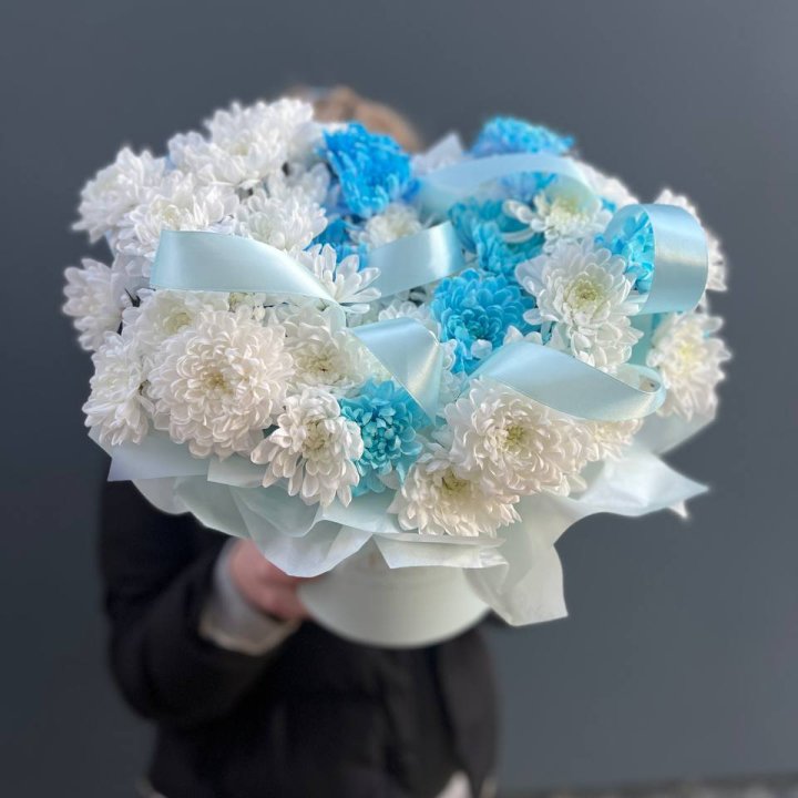 Хризнтемы в боксе в Рязани