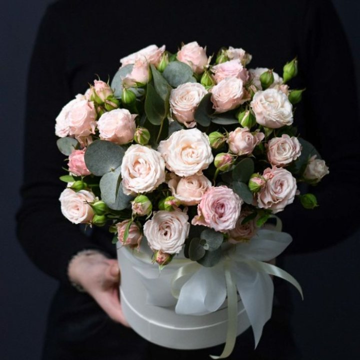 Бомбастик бокс №2 в Рязани