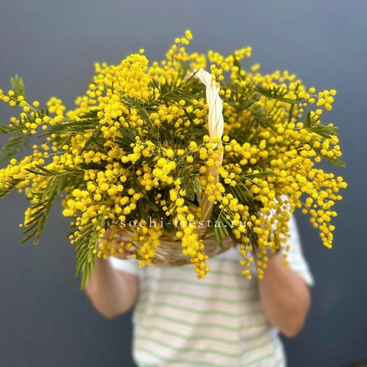 Весенняя корзина мимозы в Рязани