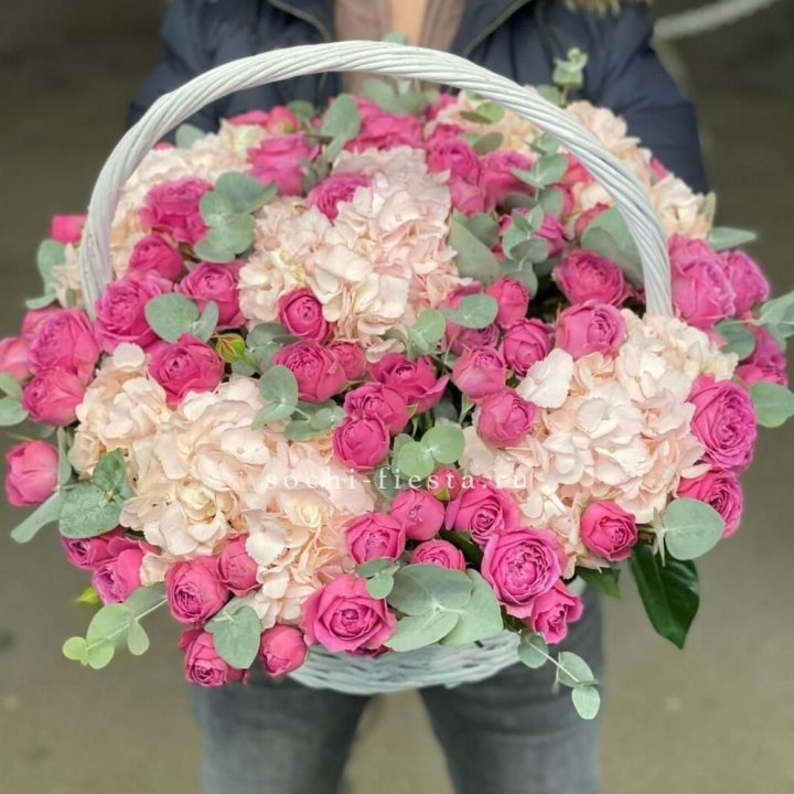 Корзина с гортензией и Мисти Баблс в Рязани