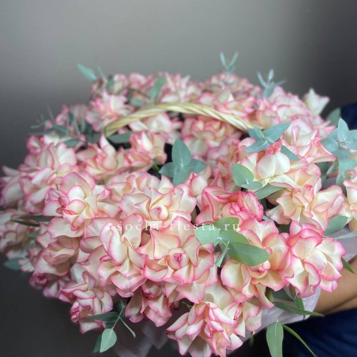 51 джумилия  в корзине   в Рязани