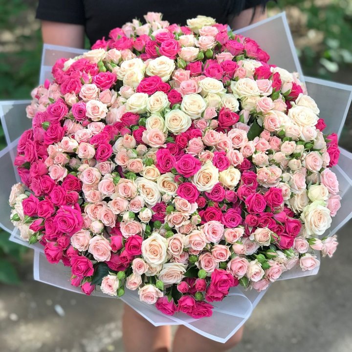 101 кустовая роза в Рязани