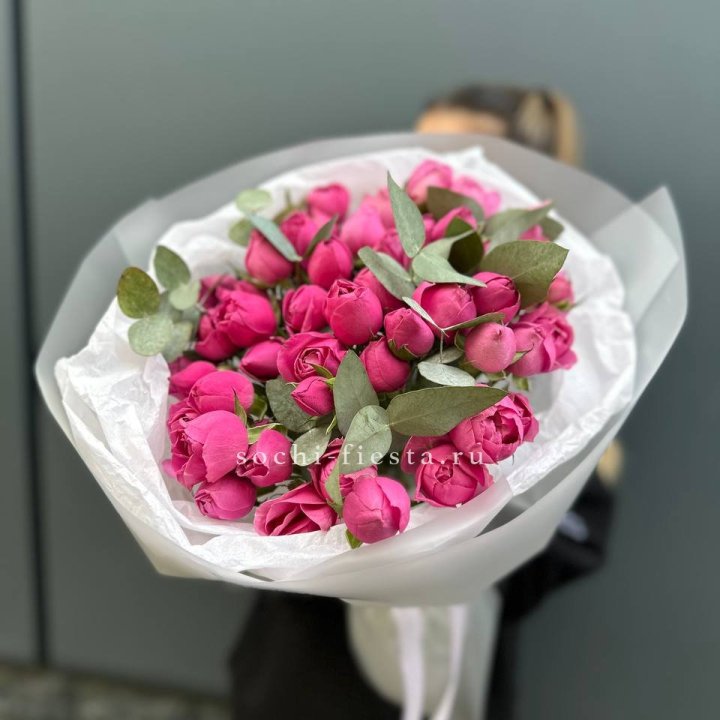 17 Мисти бабблс в Рязани